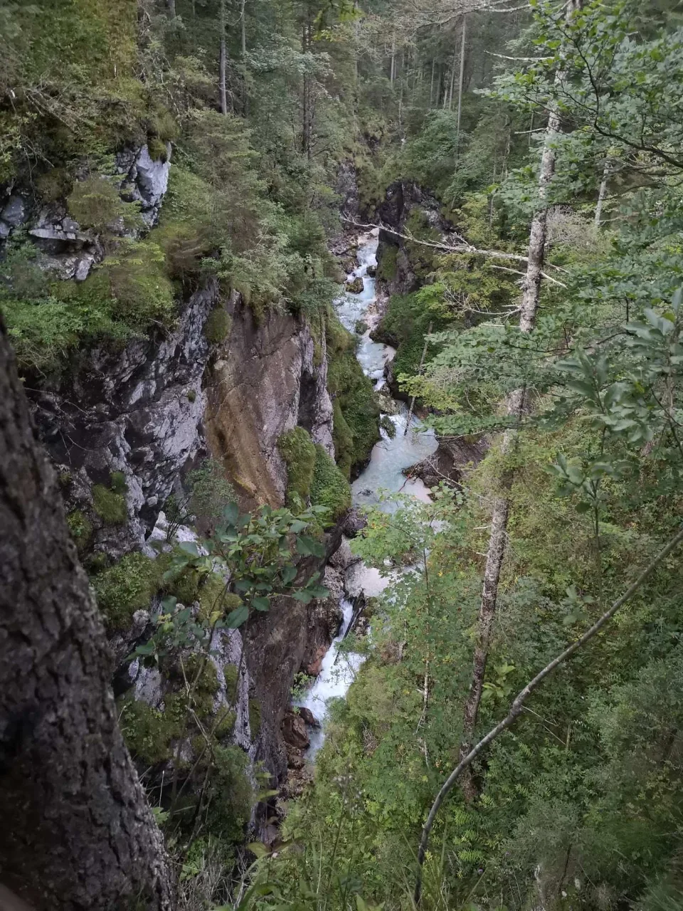 Erstes Tageslicht: die Partnach rauscht über die Felsblöcke im Tal.