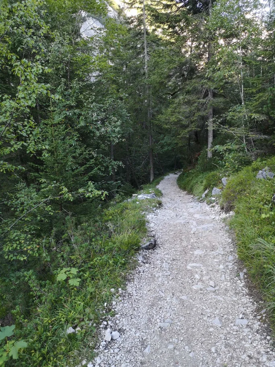 Stetig bergan auf dem breiten Steig durch das obere Reintal.